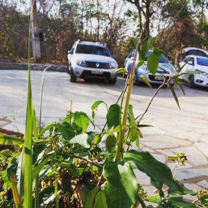 Imagem da galeria de Pousada Da Mata em Pirenópolis