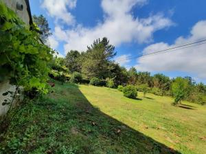 un campo de césped con árboles en el fondo en A CASA DE TOXO, en O Pino 