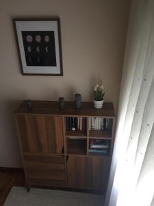 The library in Az apartmant