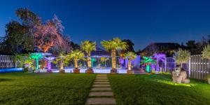 un patio con luces de Navidad y un perro sentado en el césped en Villa Tropicana, en Teltow