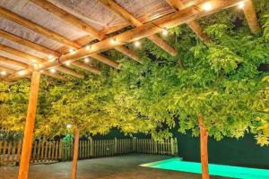 Zahrada ubytování Casa rural Gómez de Hita