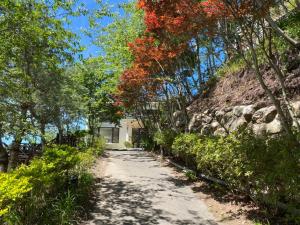清境白雲渡假山莊室外花園