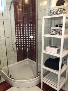 Kúpeľňa v ubytovaní Apartman Bloom
