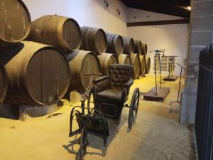 Fotografia z galérie ubytovania Kiana Loft, La Casa del Parral v destinácii Jerez de la Frontera
