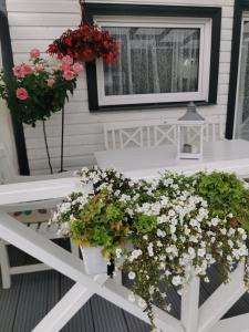 a porch with two potted plants and a table with flowers at Sapņi in Kolka