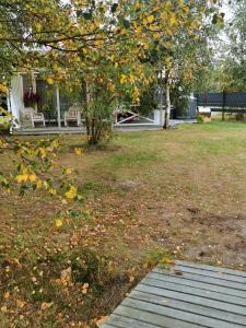 a yard with a house and a tree with autumn leaves at Holiday Home Kolka in Kolka