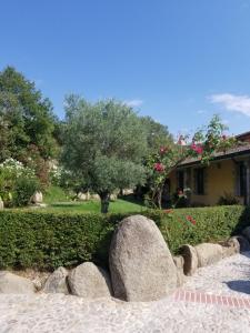 a garden with rocks and trees and a house at B&B Casa Vacanza Centro Sardegna in Sorgono