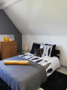 a bedroom with a bed with a blanket on it at Le Studio D'Edouard in Urschenheim