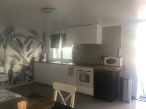 une petite cuisine avec un comptoir et un micro-ondes dans l'établissement Lolita place, à Obernai