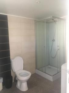 une salle de bain avec toilettes et douche en verre dans l'établissement Lolita place, à Obernai