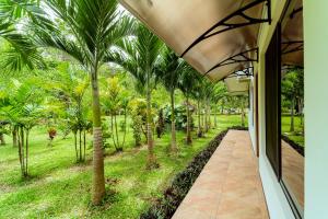 dom z palmami na dziedzińcu w obiekcie Casa Blossom - Beach Paradise Retreat w mieście Puerto Viejo
