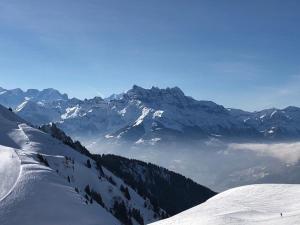 Swiss Mountains v zimě
