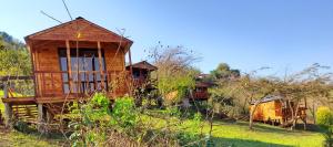 una casa sull'albero in mezzo a un campo di Entendeni Lodge SelfCatering a Inanda