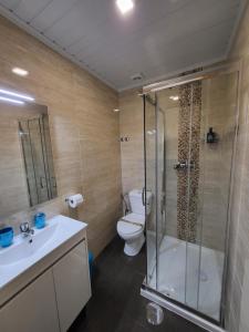 a bathroom with a shower and a toilet and a sink at Casa Borges in Charneca