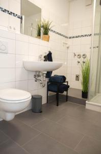 a bathroom with a toilet and a sink at Appartement Nordlicht in Eutin