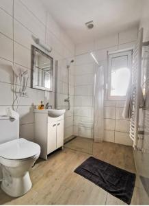 a bathroom with a toilet and a sink and a shower at Pensjonat Na Każdą Porę in Lądek-Zdrój