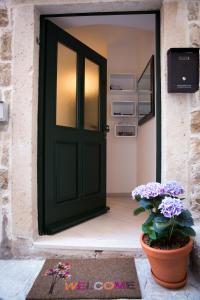 a green door with a plant in a pot at Villa Flores Room in Dubrovnik
