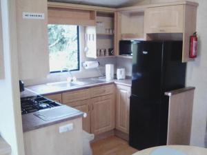 a kitchen with a black refrigerator and a sink at Cosy Chalet Mobile Home in Dingle