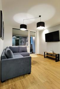 Televízia a/alebo spoločenská miestnosť v ubytovaní Apartament z Widokiem na Park