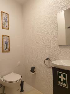 Uma casa de banho em Altavista Penthouse T2