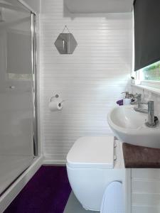 a white bathroom with a toilet and a sink at Shepherds hut Bath in Wick