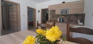 Kuchyň nebo kuchyňský kout v ubytování Apartmány Adieu