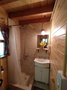 a bathroom with a sink and a shower at Hospedaje Las Gardenias in Lago Puelo