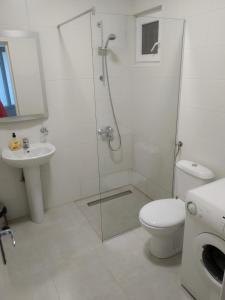 a bathroom with a shower and a toilet and a sink at Olive Tree Villa in Herceg-Novi