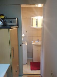 uma pequena casa de banho com lavatório e WC em Grossveitsch SKI RESORT - Nearest 2+1 BR Apartment em Grossveitscherthal