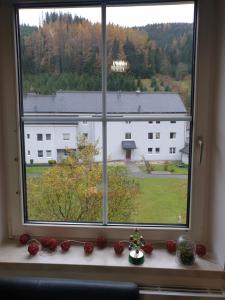 Gallery image of Grossveitsch SKI RESORT - Nearest 2+1 BR Apartment in Grossveitscherthal