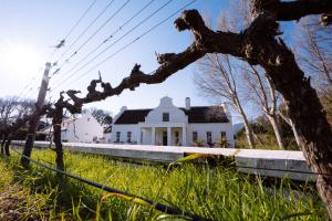 a white house with a tree in front of it at Holden Manz Country House in Franschhoek