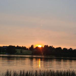 SierakowiceにあるDomek Nad Jezioremの木々の水上夕日