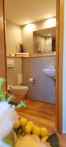 a bathroom with a toilet and a sink at Pension Marlis in Reichenberg