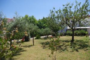 Zahrada ubytování Holiday House Jasna