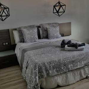 1 dormitorio con 1 cama grande y edredón gris en EL AGAVE DE MERESE APARTAMENTO, en Las Toscas