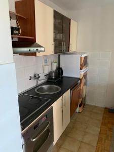 Kuchyňa alebo kuchynka v ubytovaní Apartments Anka i Krešimir