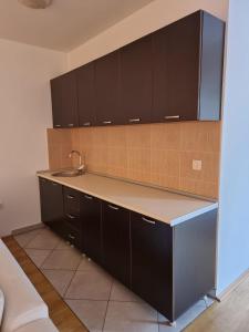 a kitchen with a sink and black cabinets at Apartmani Selektor in Bijelo Polje