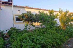 A garden outside Cape Maleas