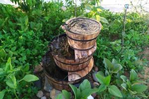 A garden outside Cape Maleas