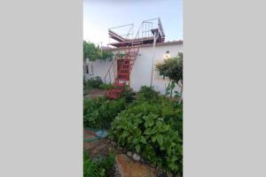 A garden outside Cape Maleas