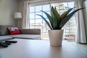 Gallery image of Sunset Rooftop Terrace apartment in Palm-Mar