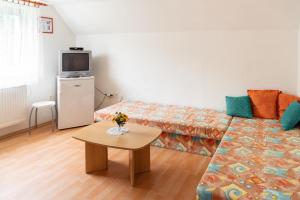 TV a/nebo společenská místnost v ubytování Podhájska - Apartmány Pod Orechom