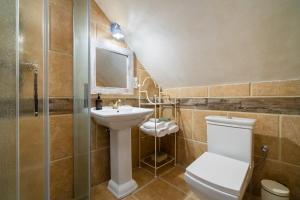 een badkamer met een toilet, een wastafel en een spiegel bij Boutique hotel Soukeníkův dům in Kutná Hora