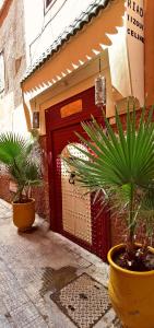 dois vasos de plantas em frente a uma porta vermelha em Riad Tizgui Celine em Marrakech