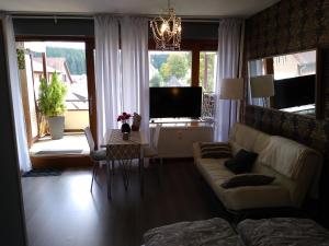 ein Wohnzimmer mit Sofa und Fernseher in der Unterkunft Apartment 358 mit Sauna, Schwimmbad und Fitness in Schönwald