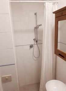 een badkamer met een douche en een douchegordijn bij Studio apartment, super position in Rome