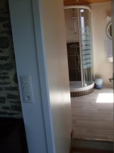 a bathroom with a walk in shower and a mirror at Chambres D'hôtes au Saint Avit in Huisnes-sur-Mer