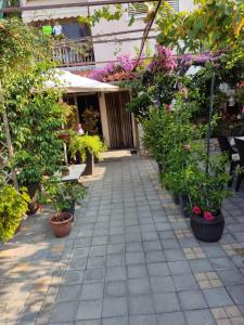 un jardin avec des plantes en pot et des fleurs sur une terrasse dans l'établissement Dalmati house, à Brodarica