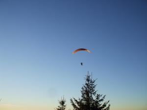 una cometa volando sobre un árbol en el cielo en T2 CHEZ LE MARECHAL à NEBOUZAT en Nébouzat