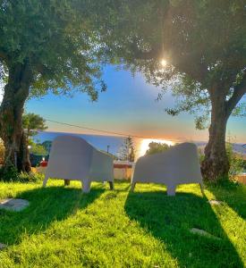 two white benches sitting in the grass under a tree at Acquamarina in Gaeta